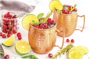 Cranberry Mule Mocktail