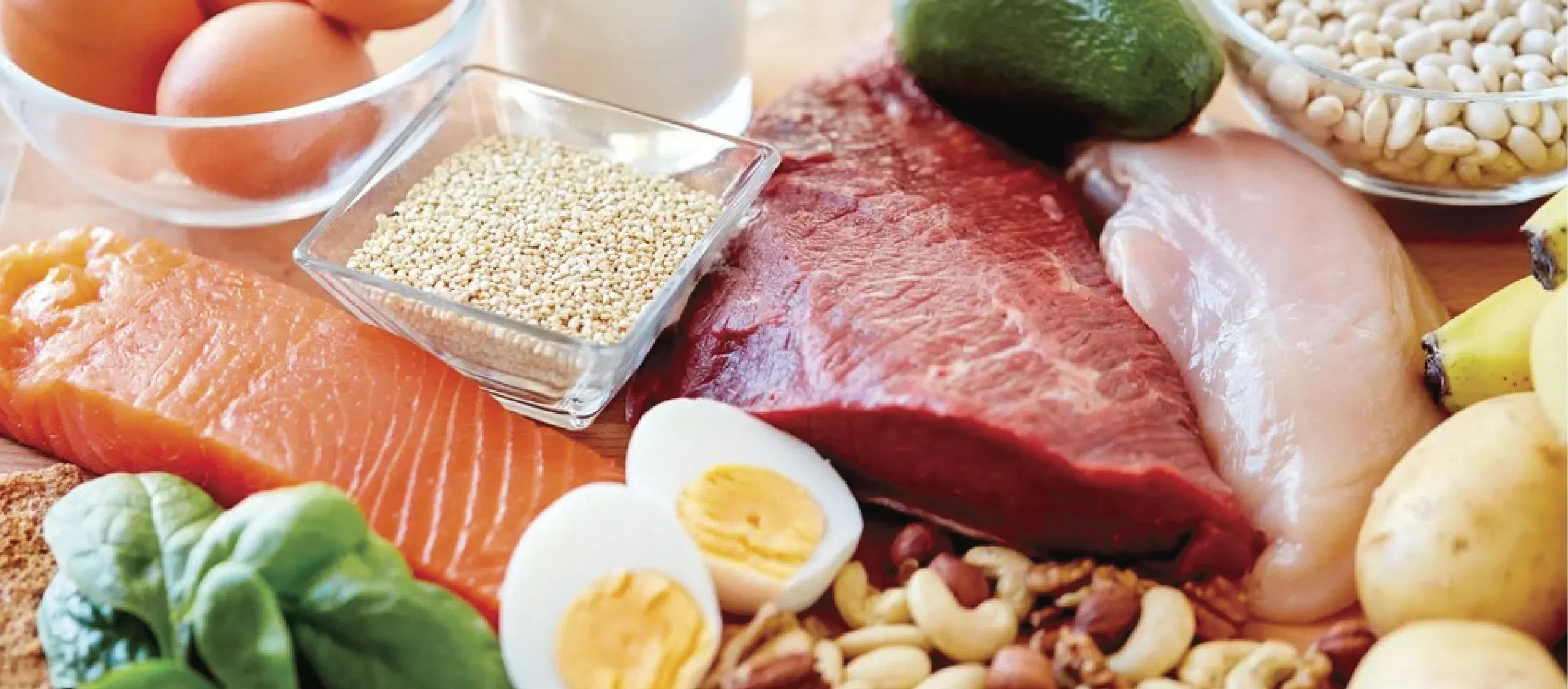 Protein - What's the Big Deal?