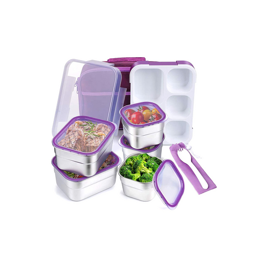 Lunch Box with 5 Stainless Steel Containers + Insulated Carry Bag