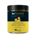 BN Fudge – Free Gift with New Subscription