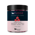 BN Fudge – Free Gift with New Subscription