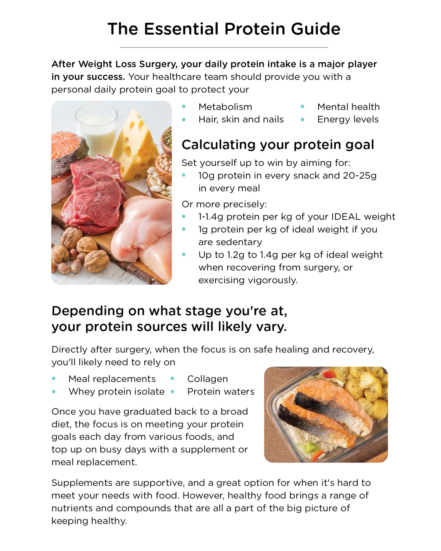 BN Protein Guide Flyer x 20