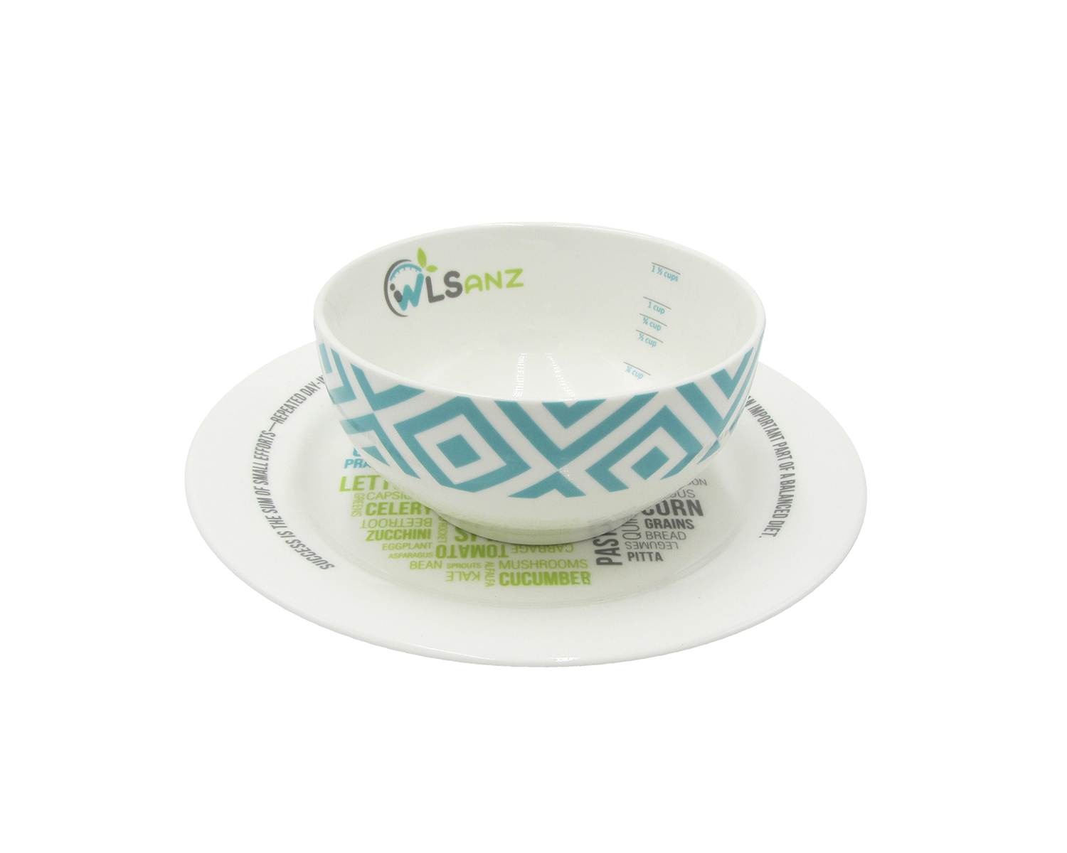 WLSANZ Porcelain Portion Control Plate with Bowl 